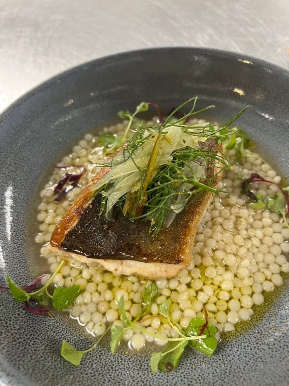 Jo N's gallery image 1