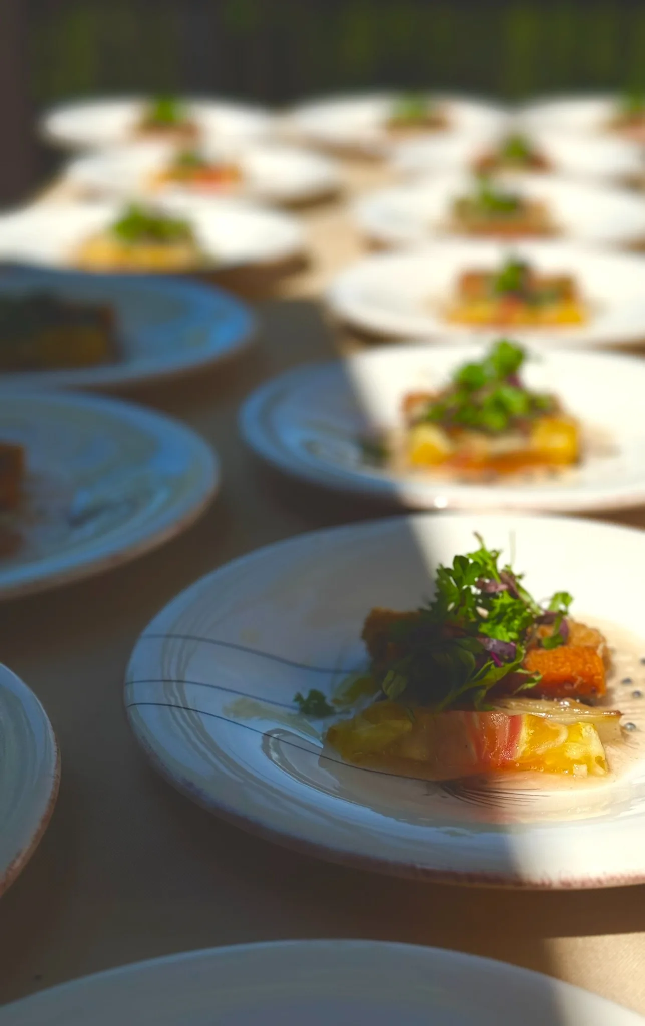 Plated salmon crudo with microgreens and citrus in golden light