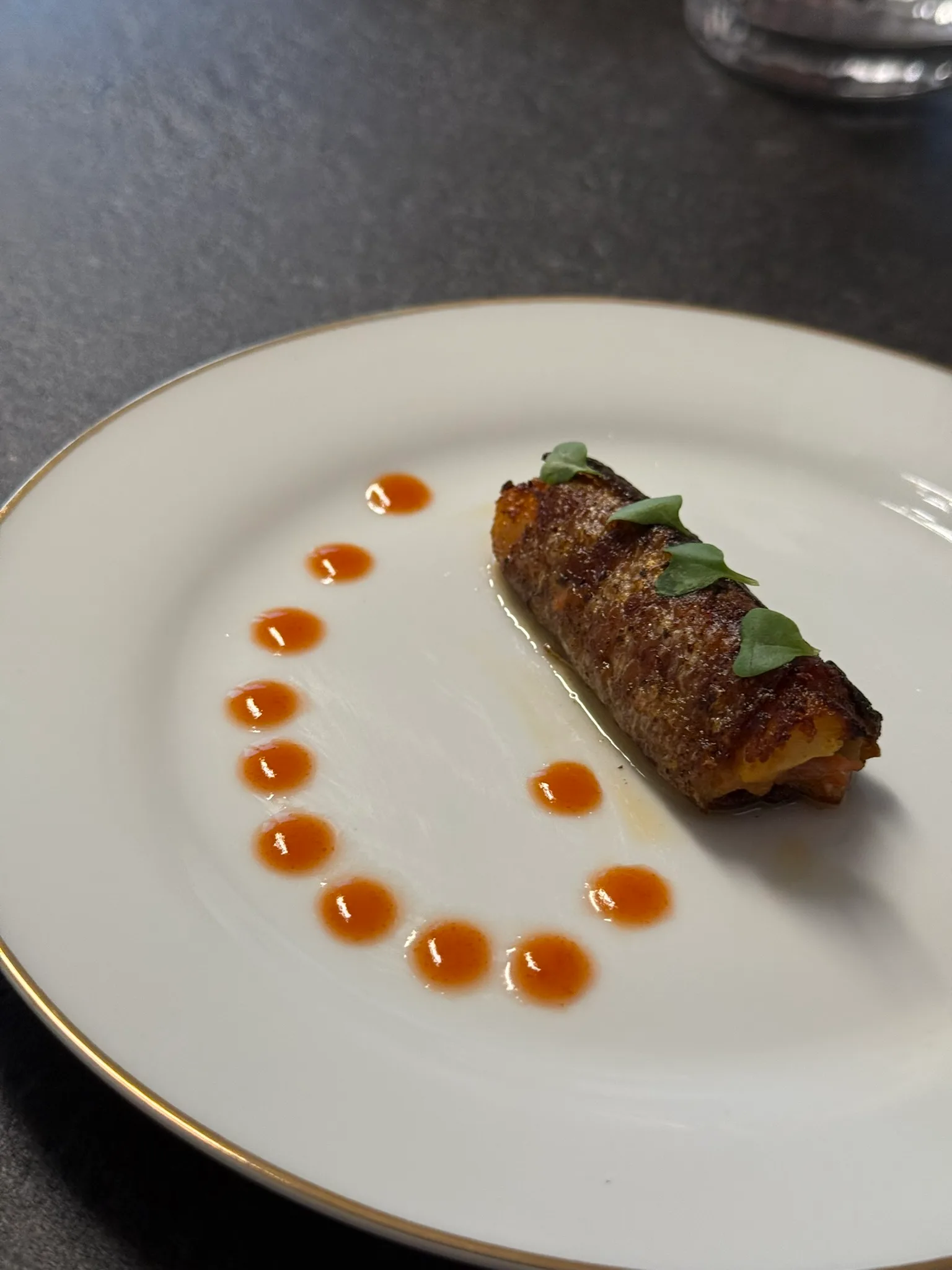 Seared fish roulade with sauce dots on fine dining plate